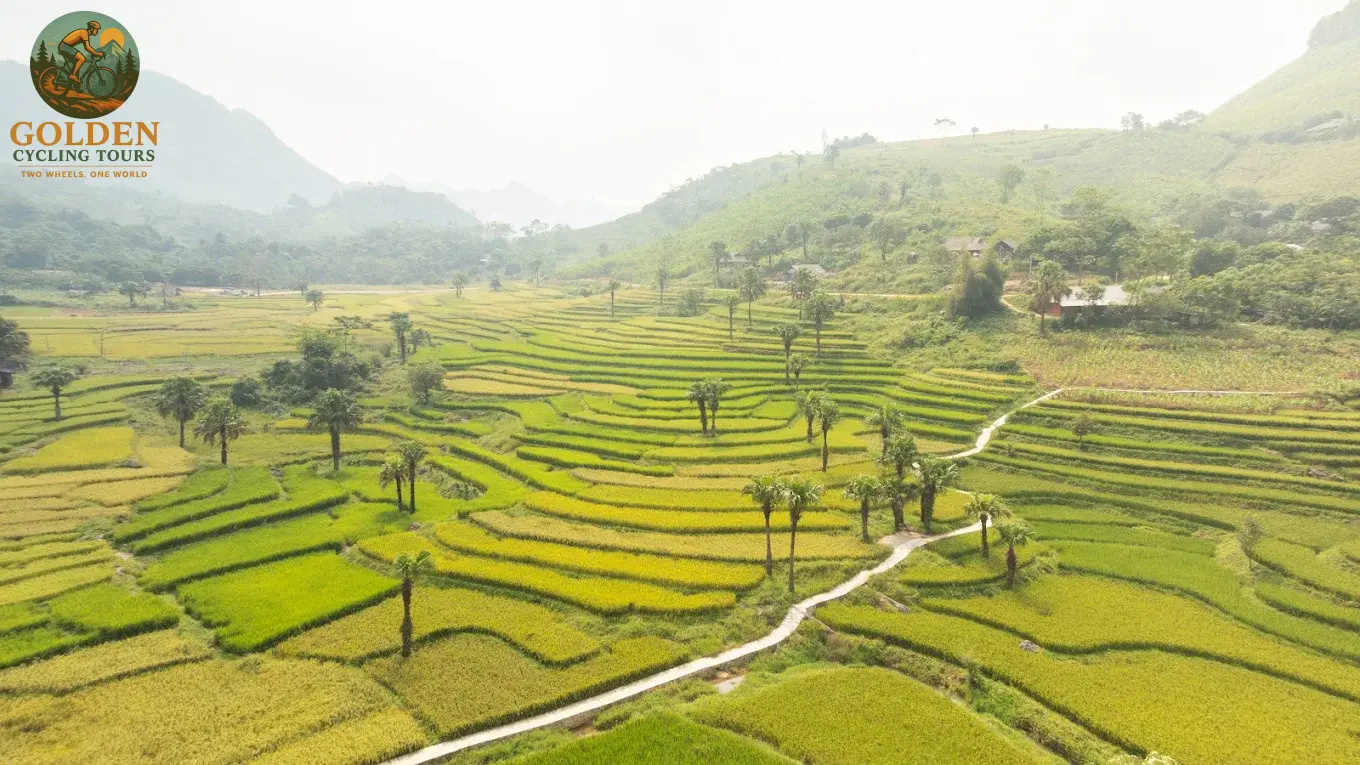 3-Day Thai Nguyen Backroad Cycling Tour: Ban Ten, Tea Hills & Nui Coc